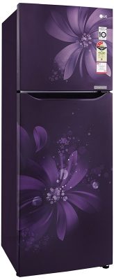 LG 255L 3 Star Frost Free Double Door Refrigerator 