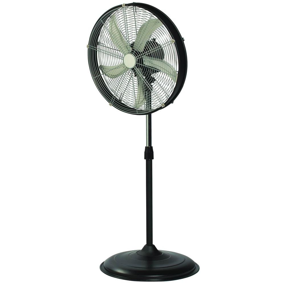 Pedestal Fan