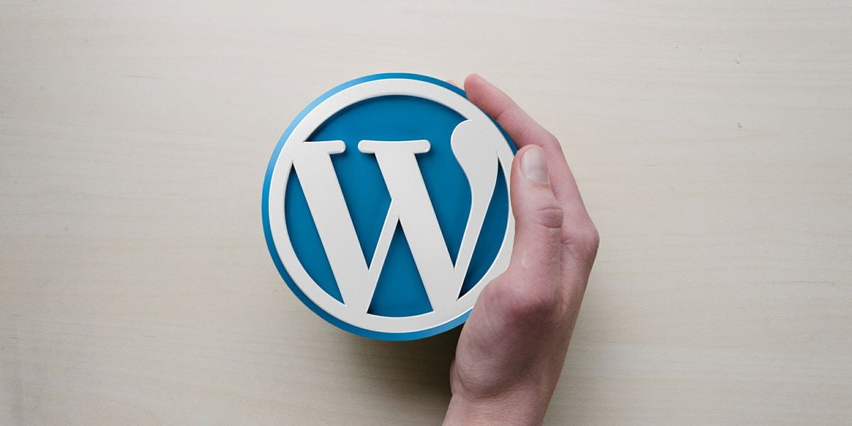 WordPress the best CMS for business website