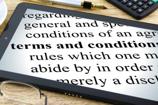terms-and-conditions for video game online security