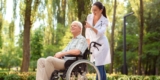 Best Buy Manual Wheelchairs (Invacare Brand) in 20,000-40,000 of July 2018