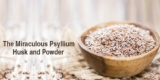 Psyllium Husk – Everything You Need to Know About an Incredible Product